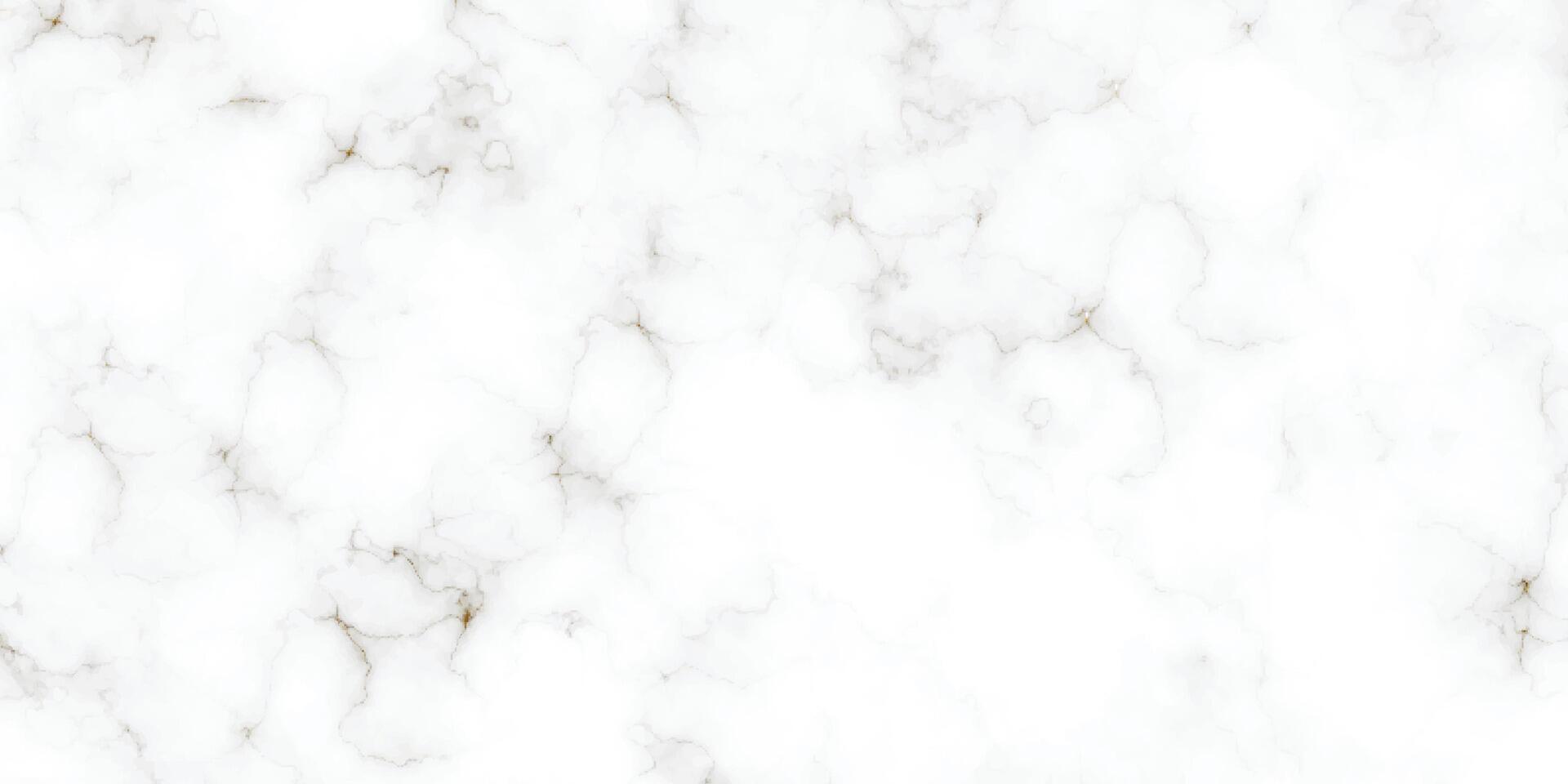 Natural white marble stone texture. Stone ceramic art wall interiors backdrop design. Seamless pattern of tile stone with bright and luxury. White Carrara marble stone texture. vector