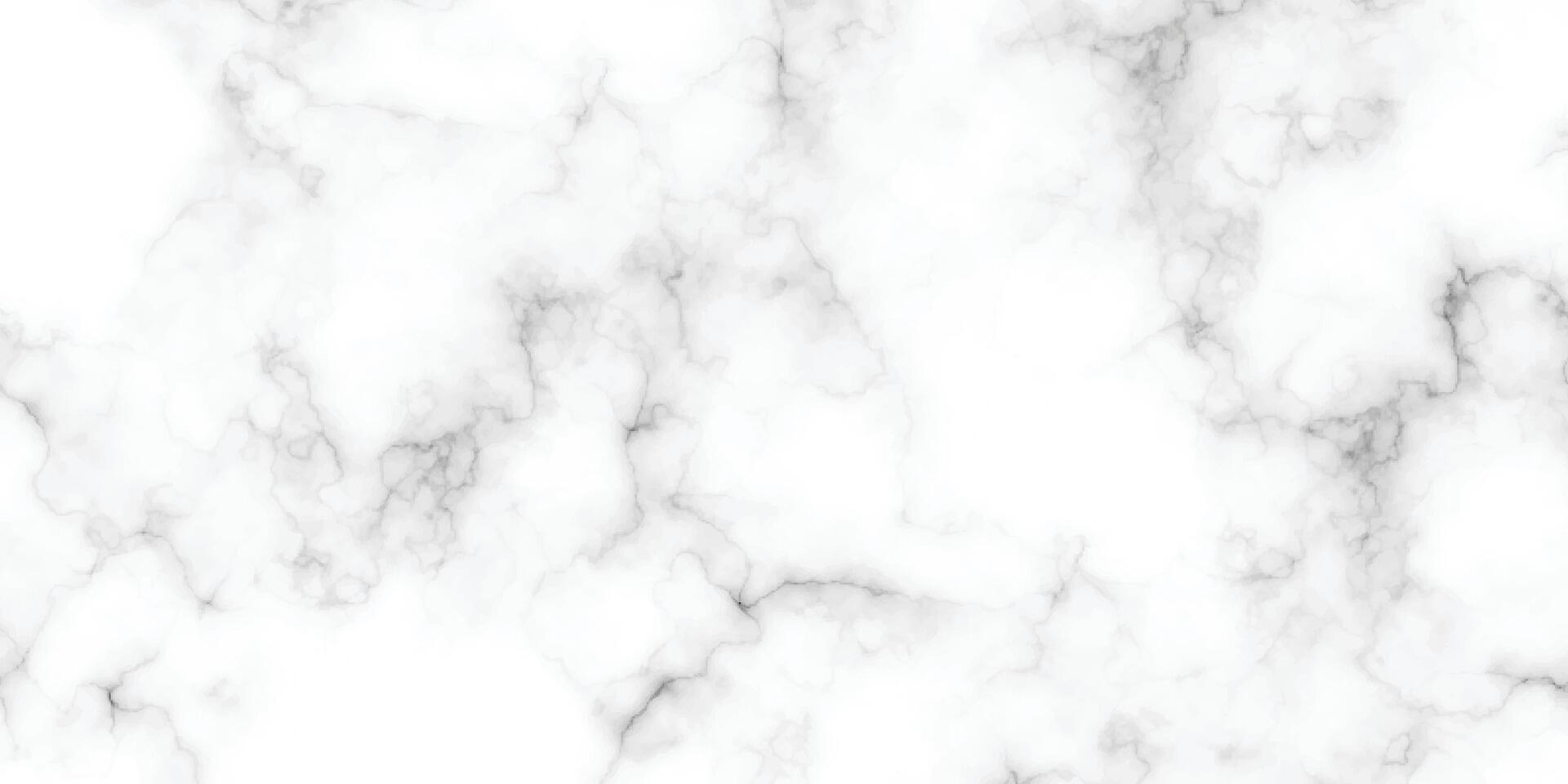 White marble floor tiles with stone texture. Abstract black cracked texture background. vector