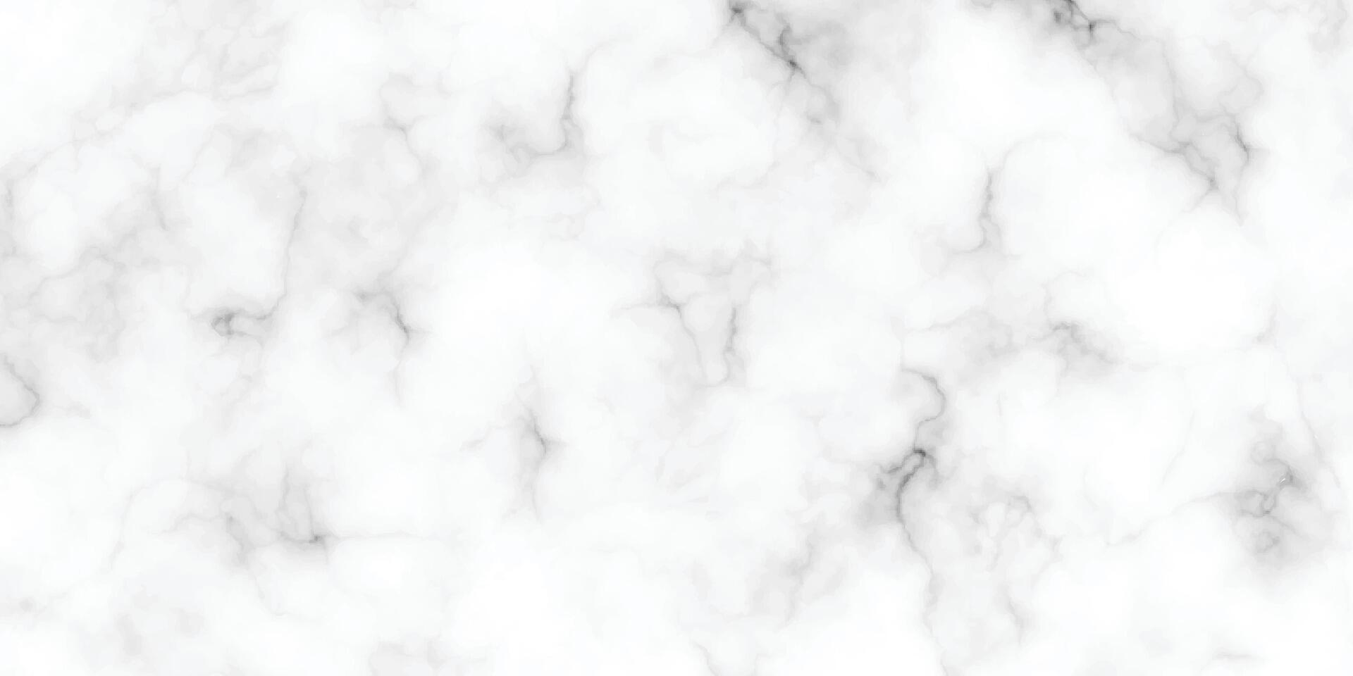 natural blanco mármol textura antecedentes. resumen antecedentes con negro agrietado. vector