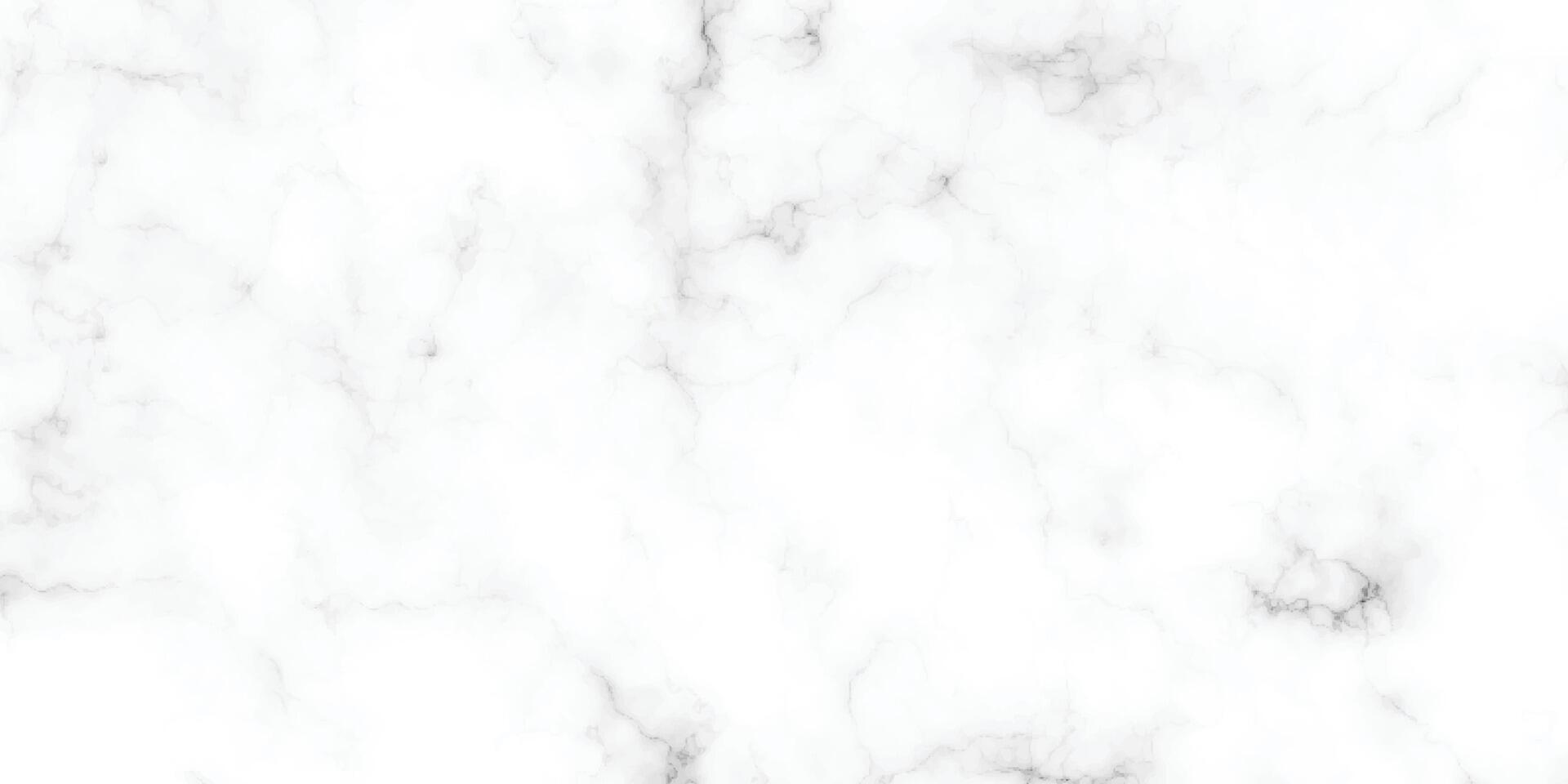 White marble pattern texture for the background. Abstract black scratch on white surface. vector