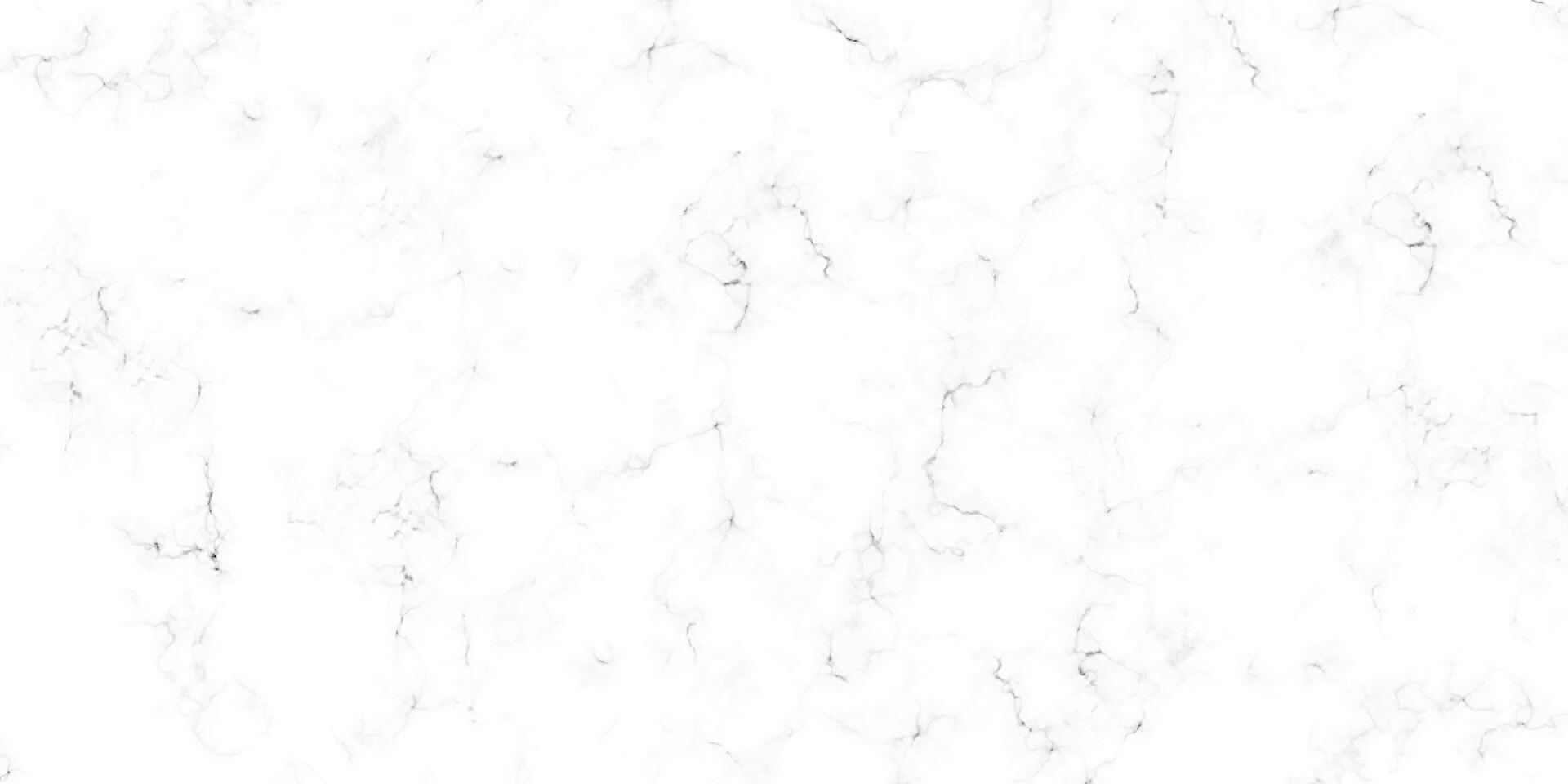 White marble pattern texture for the background. Abstract black scratch on white surface. Abstract marble texture design for tiles or floor. Black crack on white background. vector