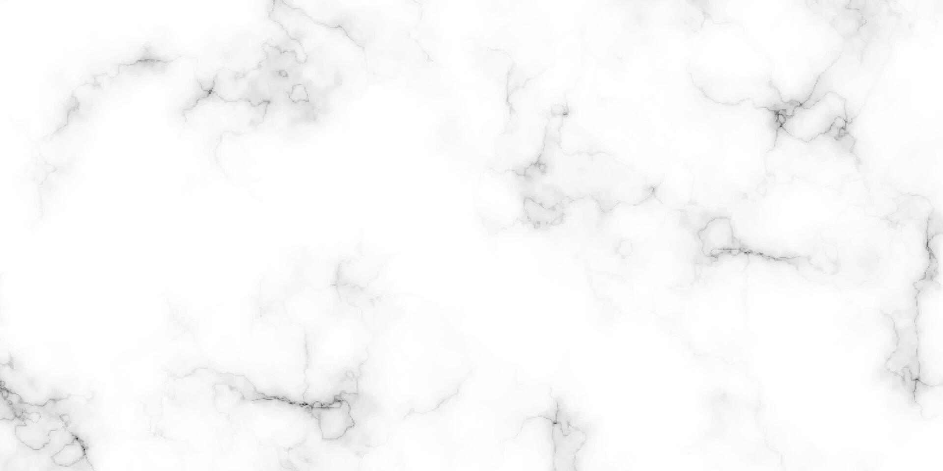panoramic white marble stone texture. white marble texture background. high-resolution white Carrara marble stone texture. vector