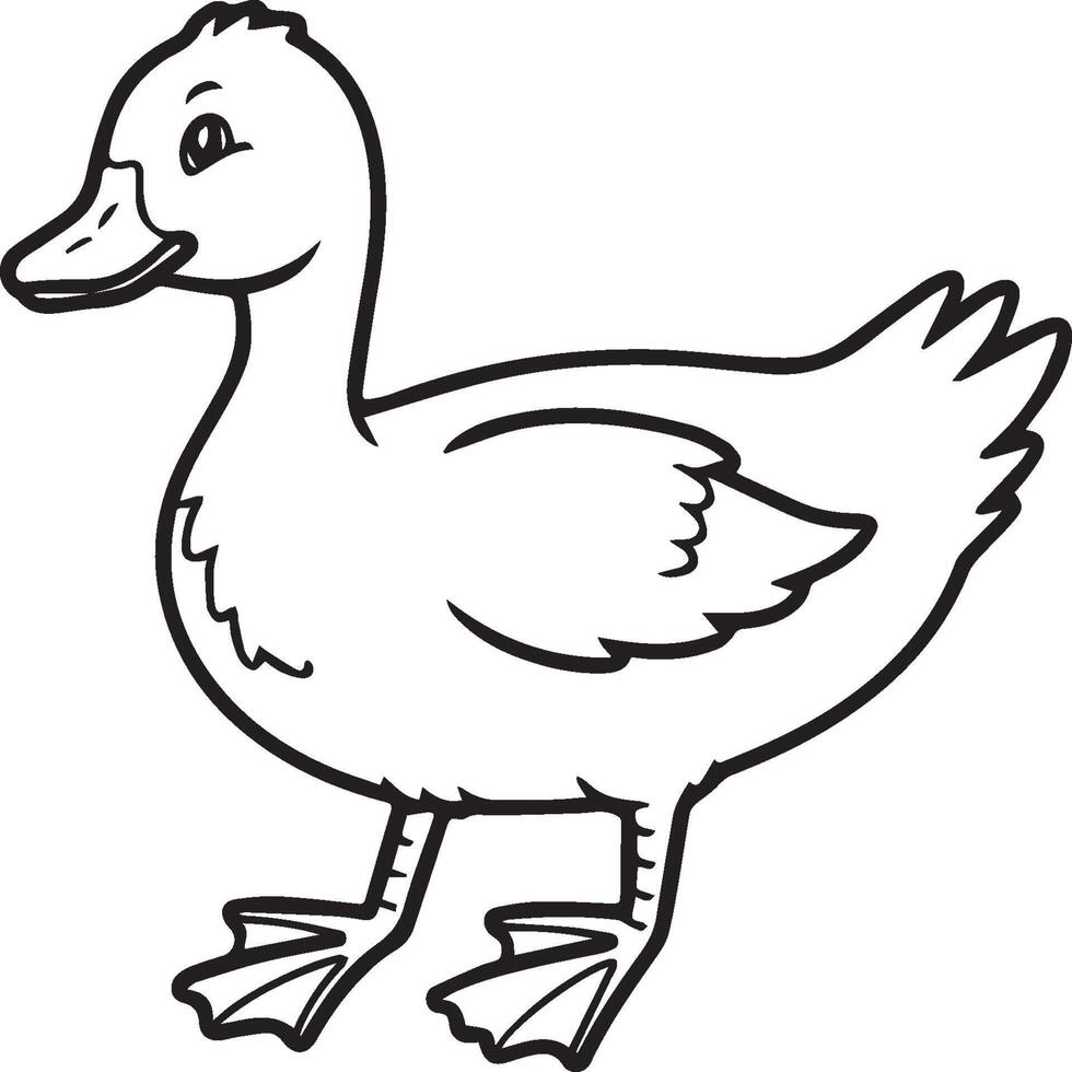 Duck coloring pages. Duck outline vector for coloring book