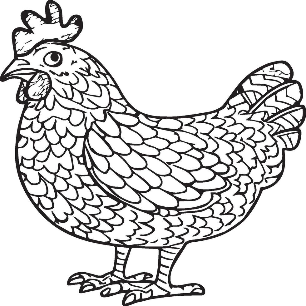 Chicken coloring pages. Chicken outline vector for coloring book