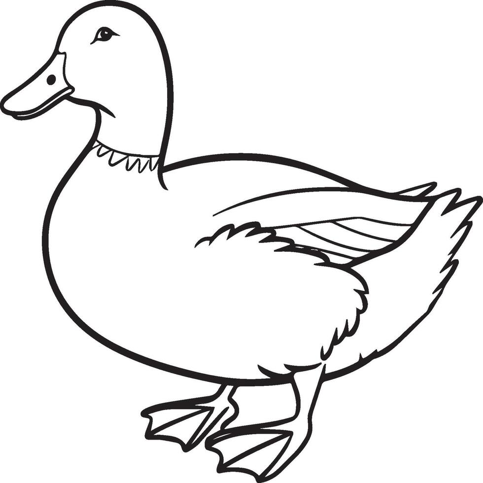 Duck coloring pages. Duck outline vector for coloring book