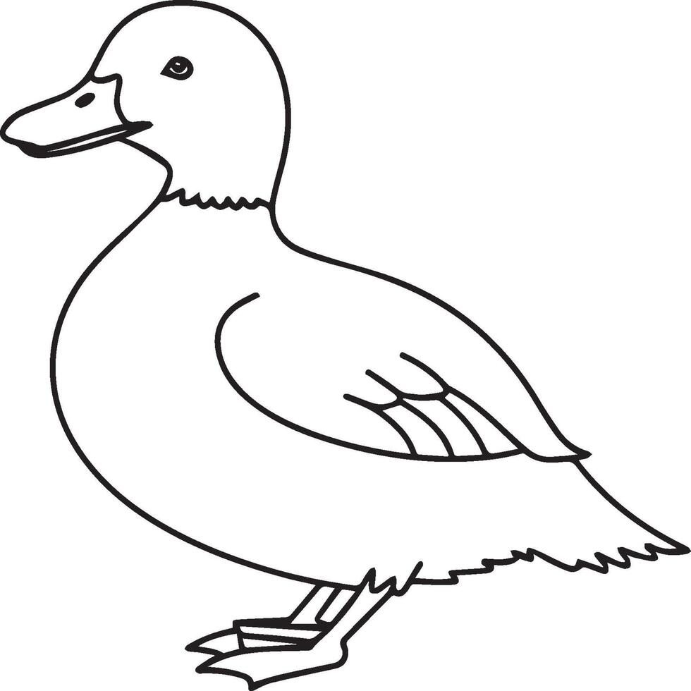 Duck coloring pages. Duck outline vector for coloring book