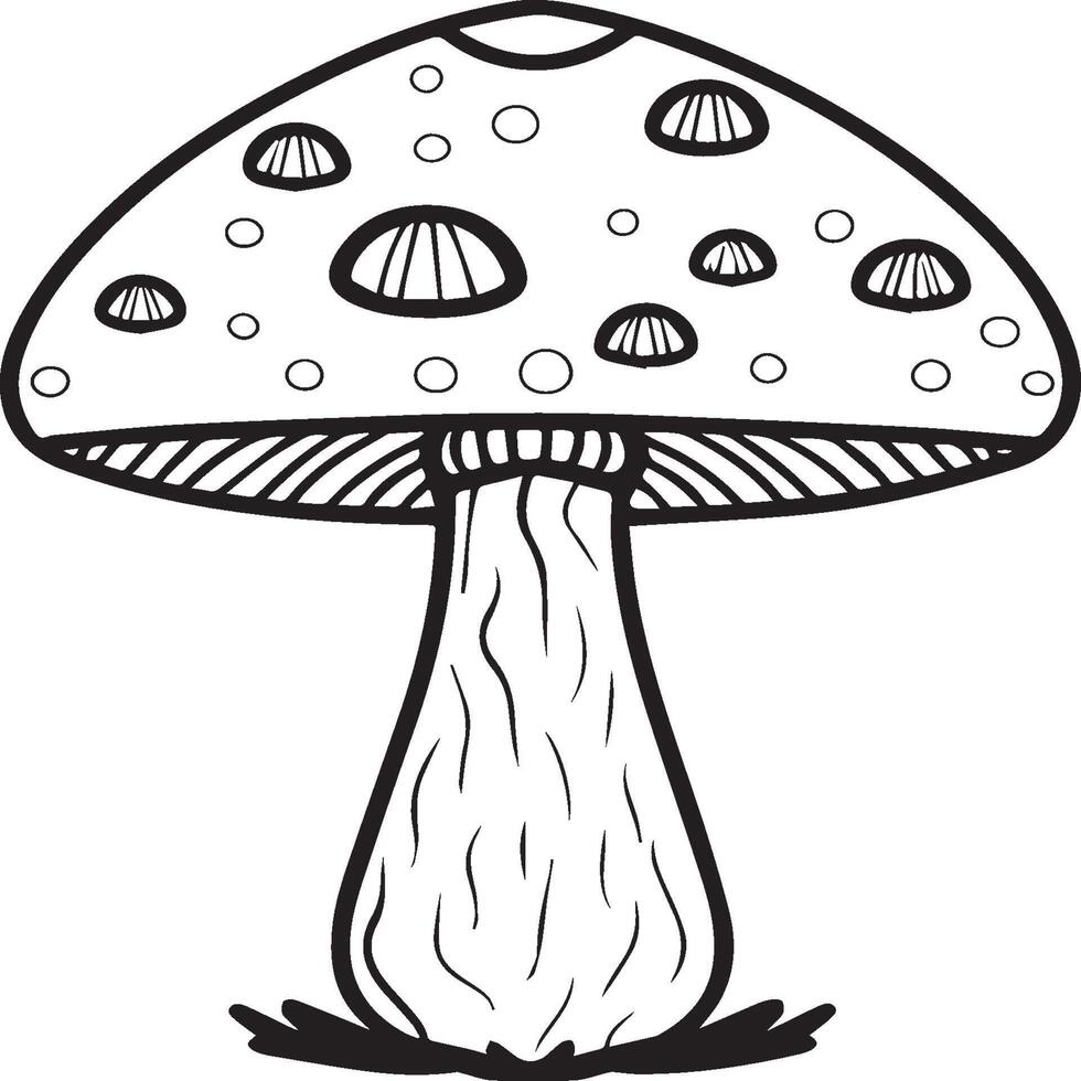 Mushroom coloring pages. Mushroom outline vector for coloring book