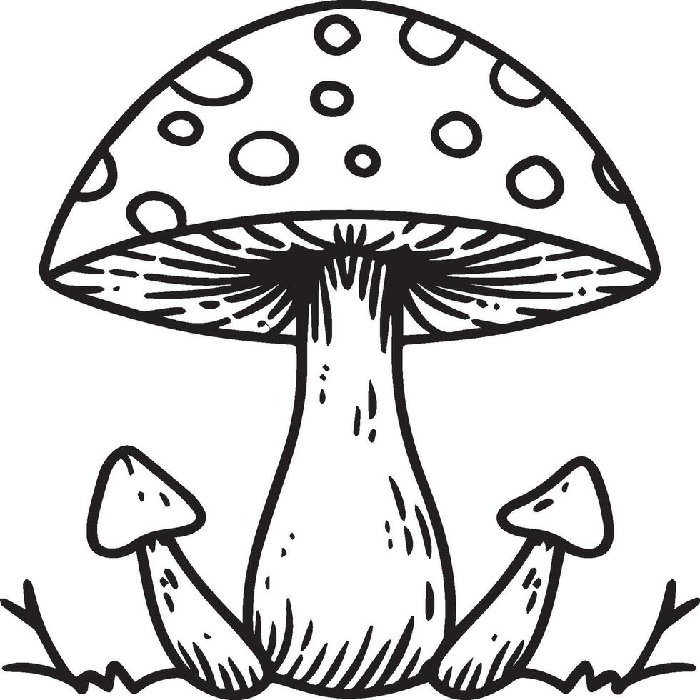 Mushroom coloring pages. Mushroom outline vector for coloring book