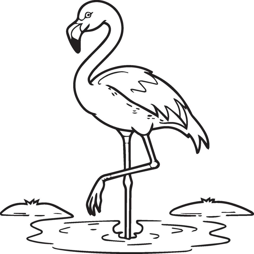 Flamingo coloring pages. Flamingo outline vector for coloring book