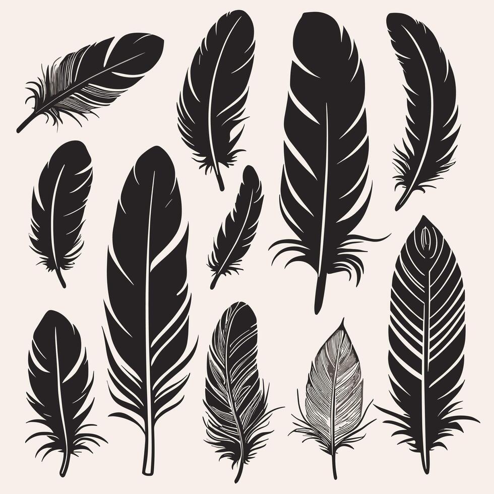 Feather silhouette illustration ink drawing vector art