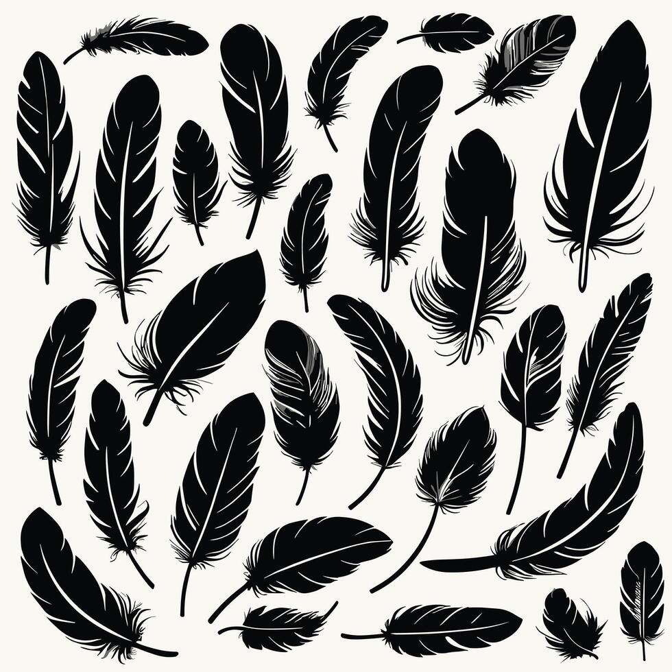 Feather silhouette illustration ink drawing vector art