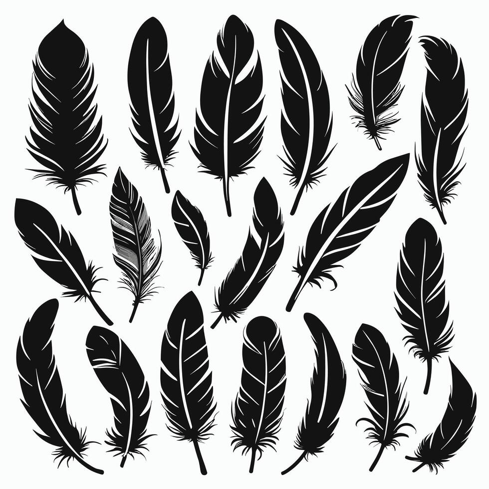 Feather silhouette illustration ink drawing vector art