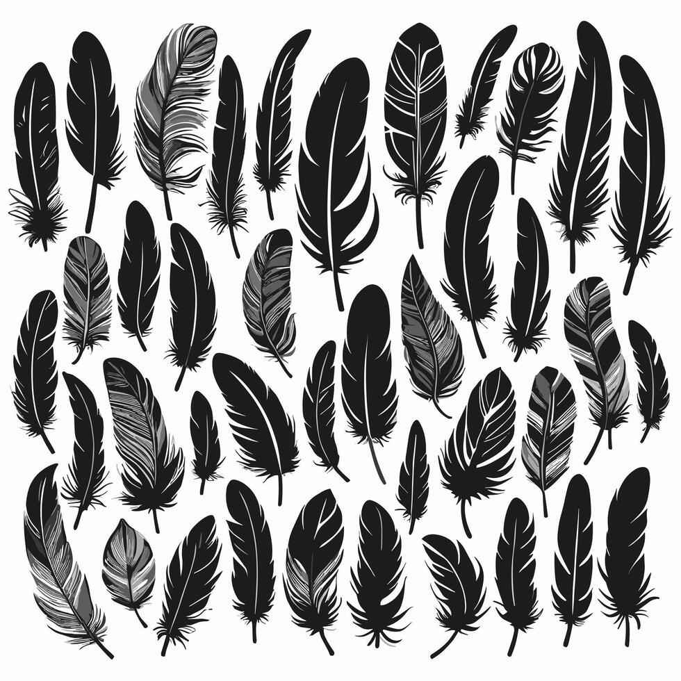 Feather silhouette illustration ink drawing vector art