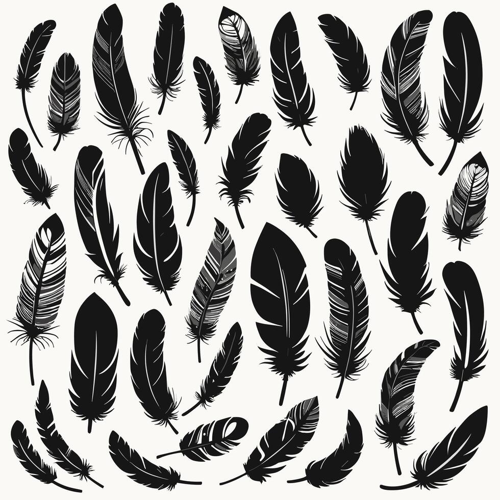 Feather silhouette illustration ink drawing vector art