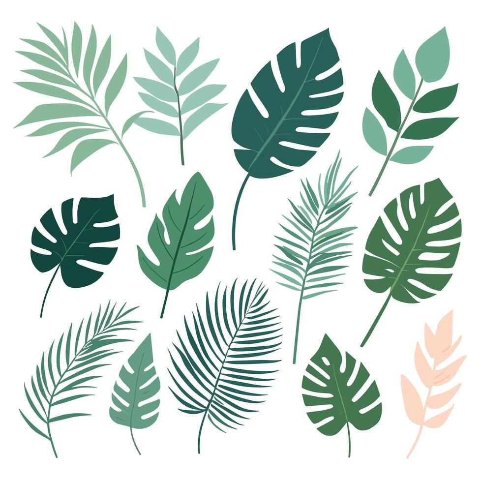 Exotic leaves set vector collection