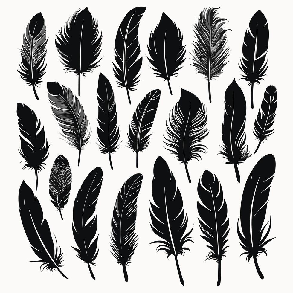 Feather silhouette illustration ink drawing vector art