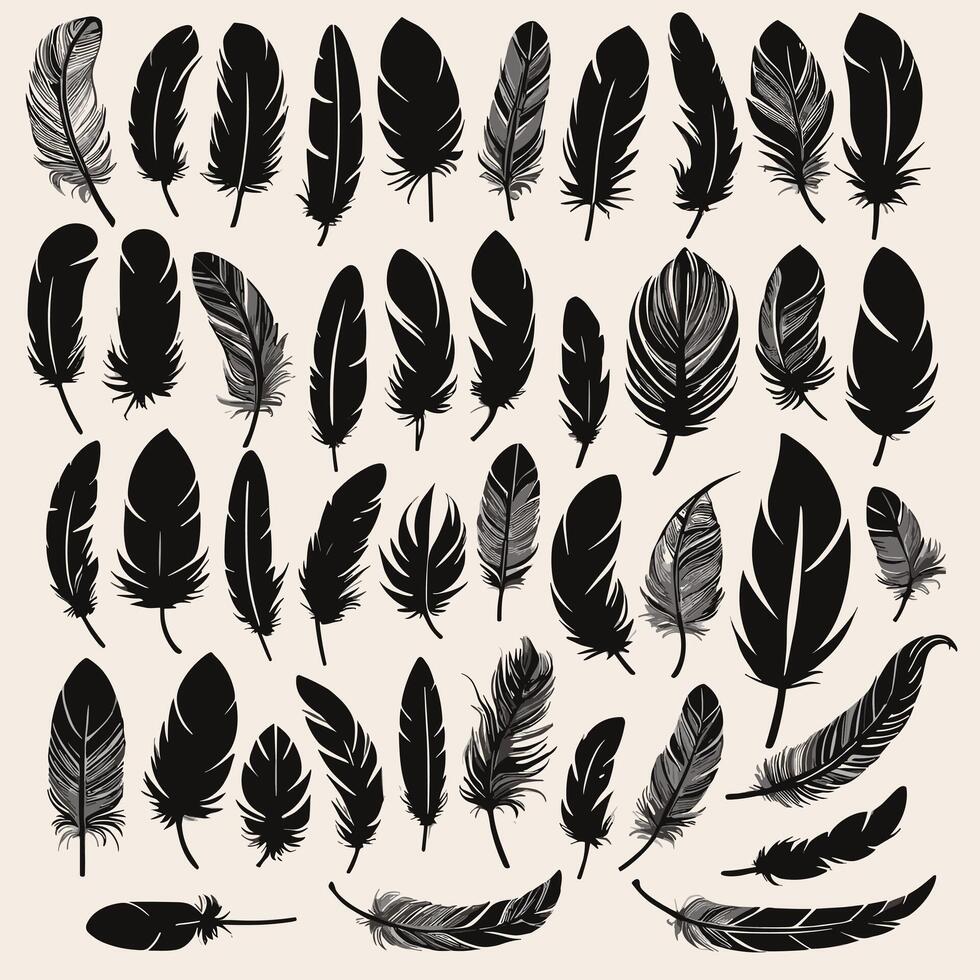 Feather silhouette illustration ink drawing vector art