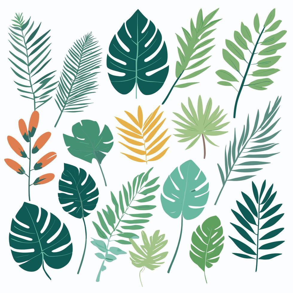 Exotic leaves set vector collection