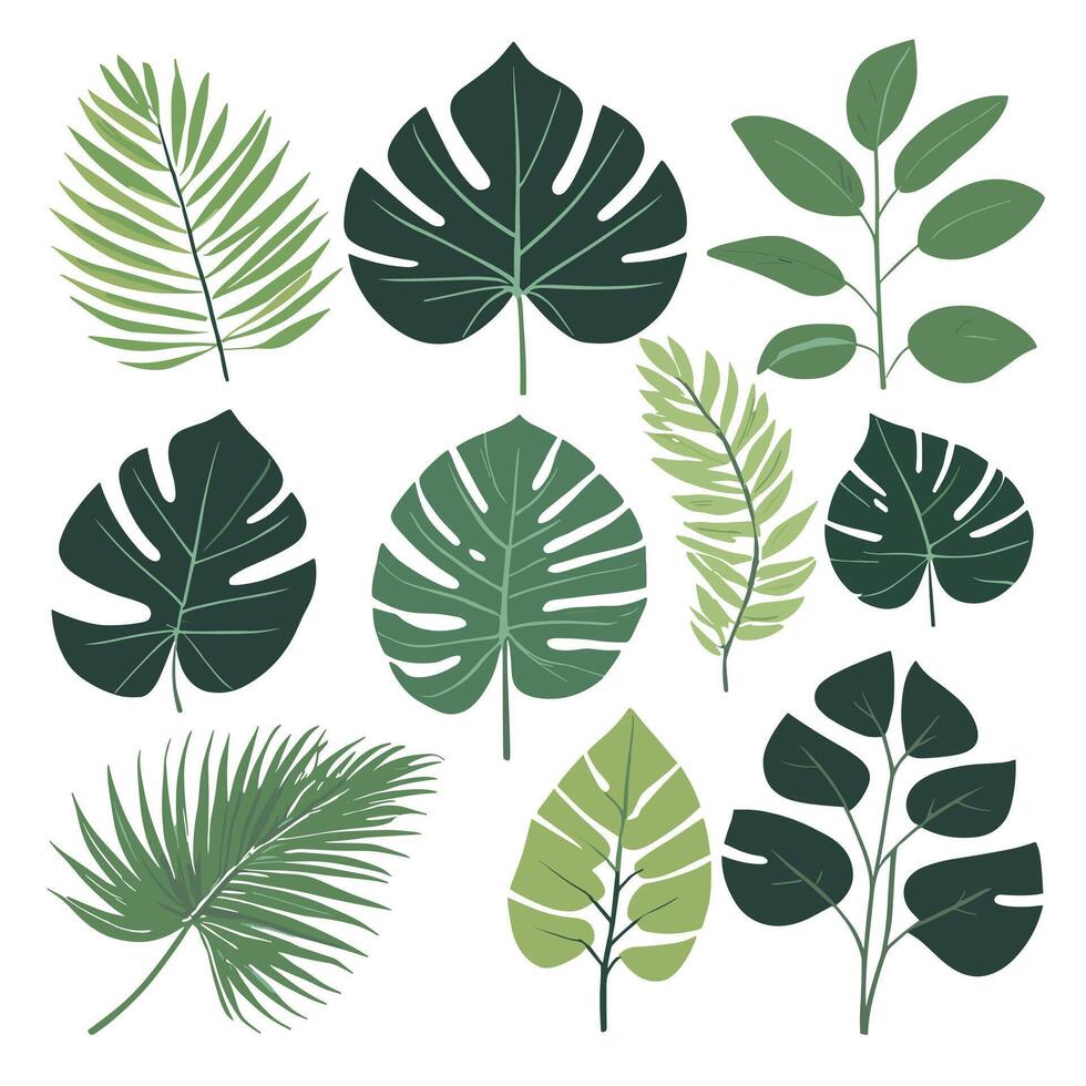 Exotic leaves set vector collection