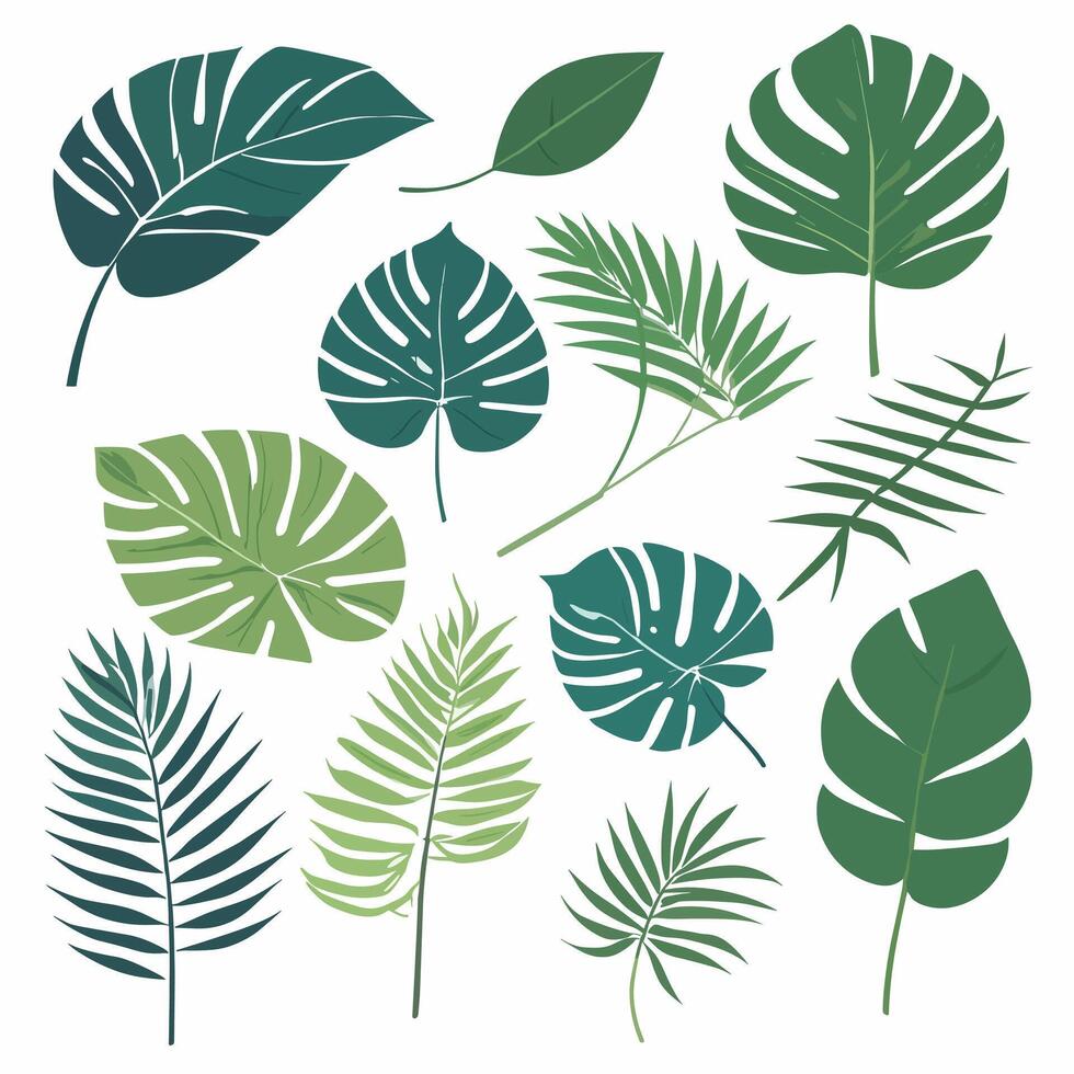 Exotic leaves set vector collection