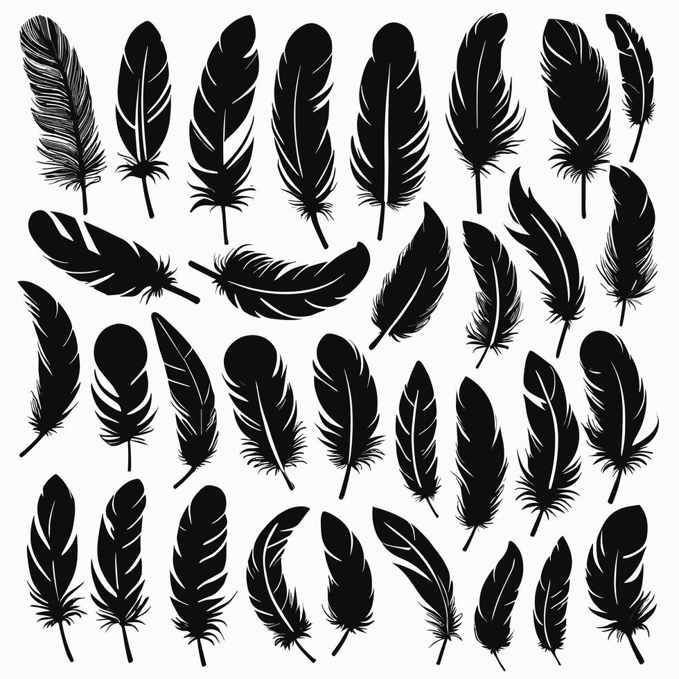 Feather silhouette illustration ink drawing vector art