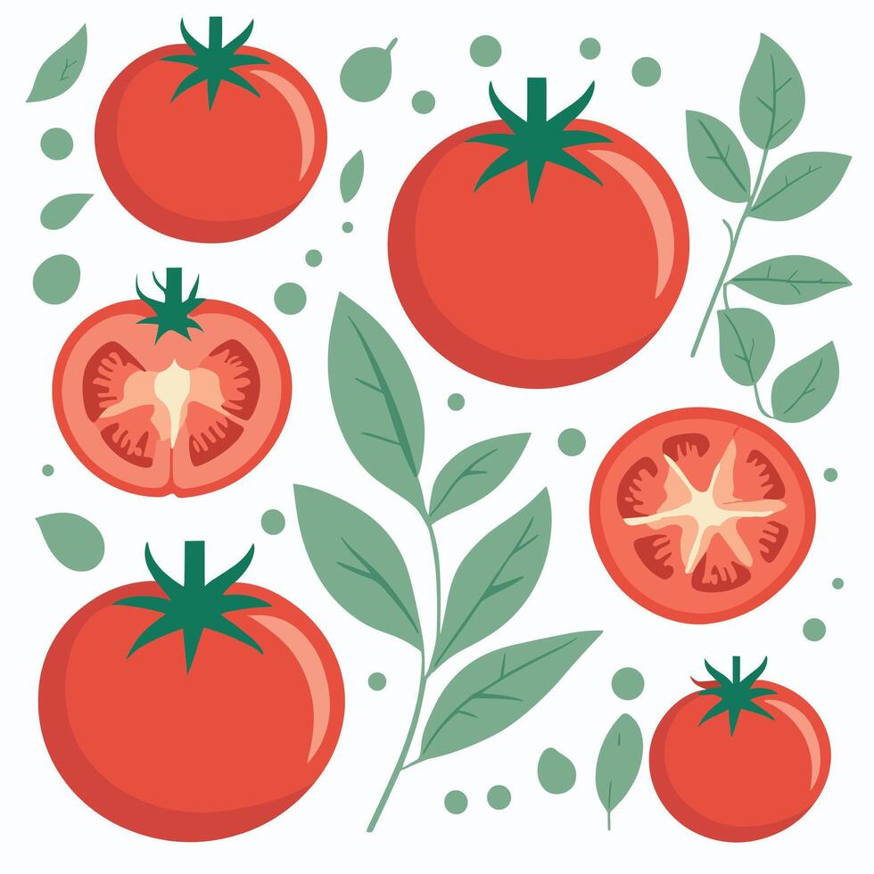 Tomato clip art vector illustration