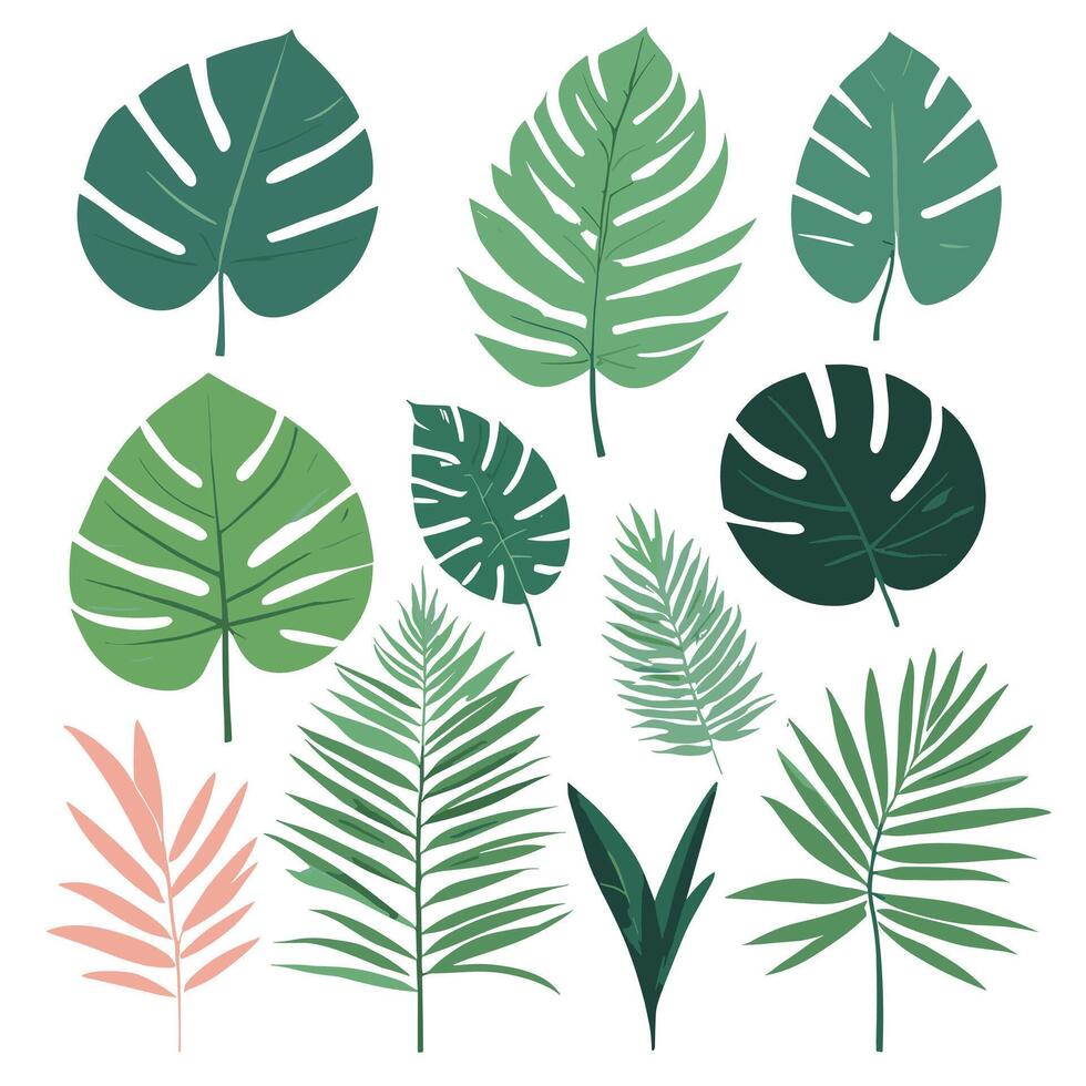 Exotic leaves set vector collection
