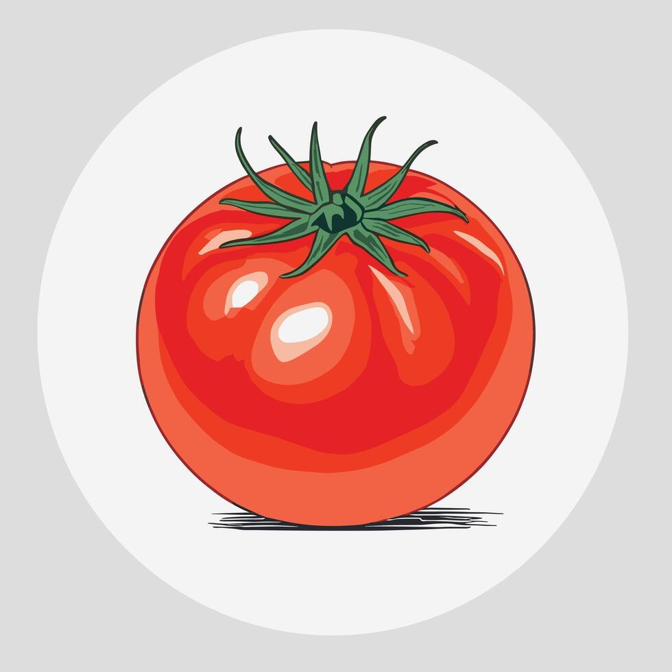 Tomato clip art vector illustration