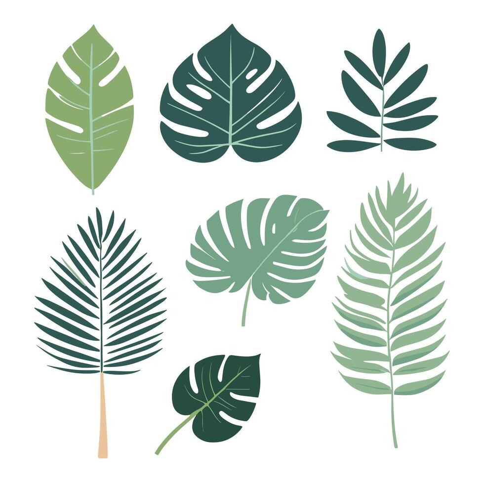 Exotic leaves set vector collection