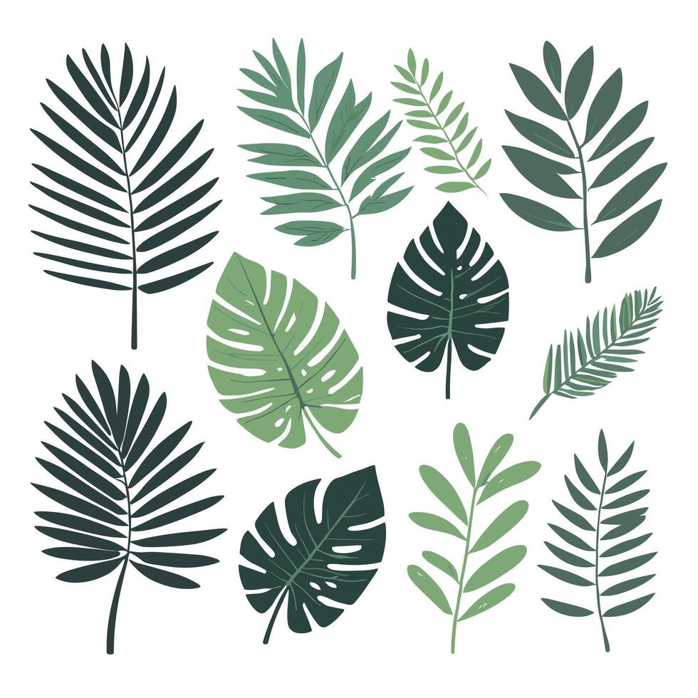 Exotic leaves set vector collection