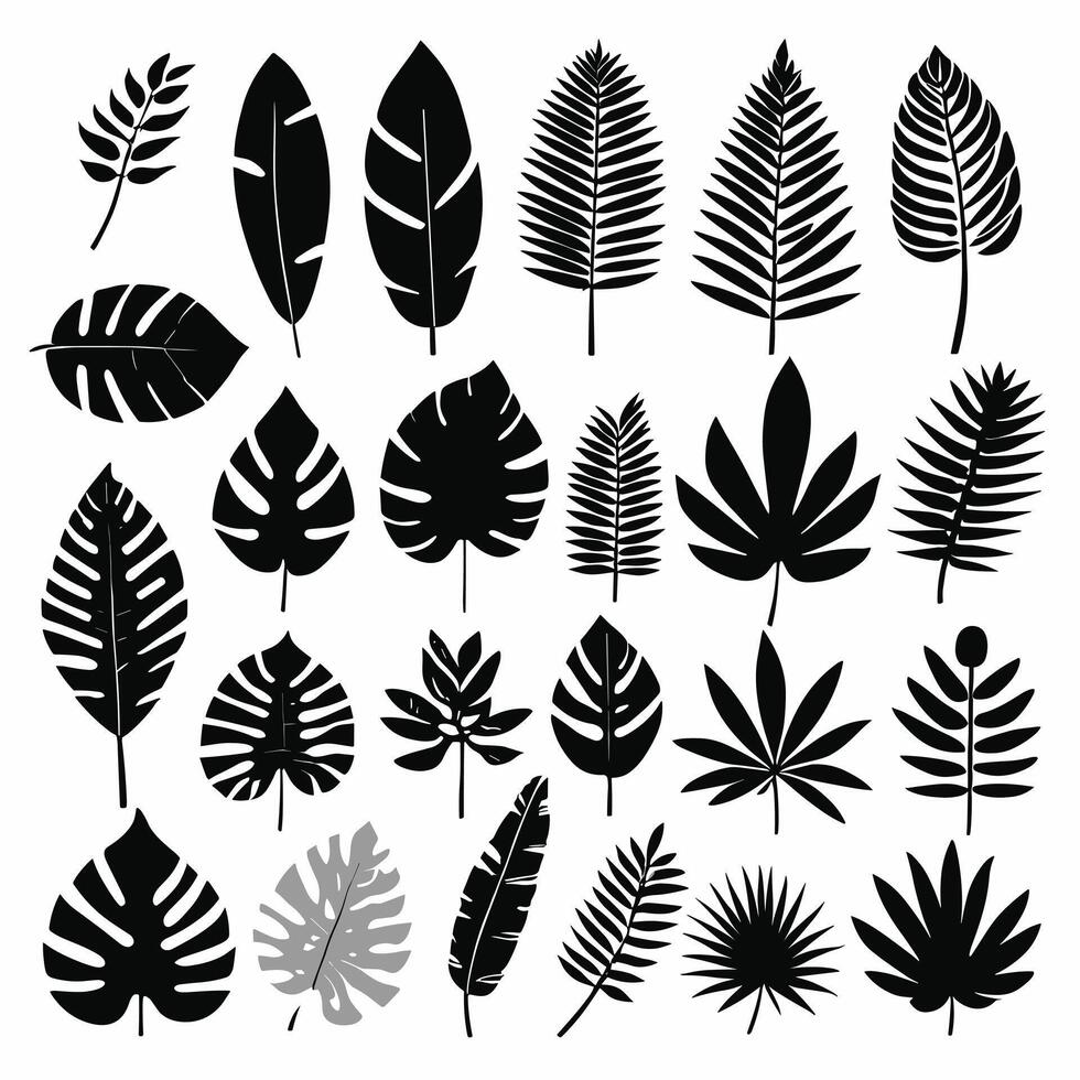 exótico hojas silueta conjunto vector colección
