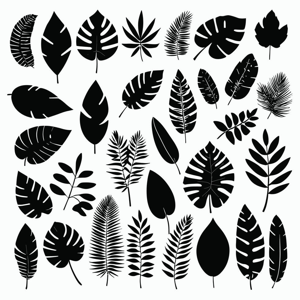 Exotic leaves silhouette set vector collection