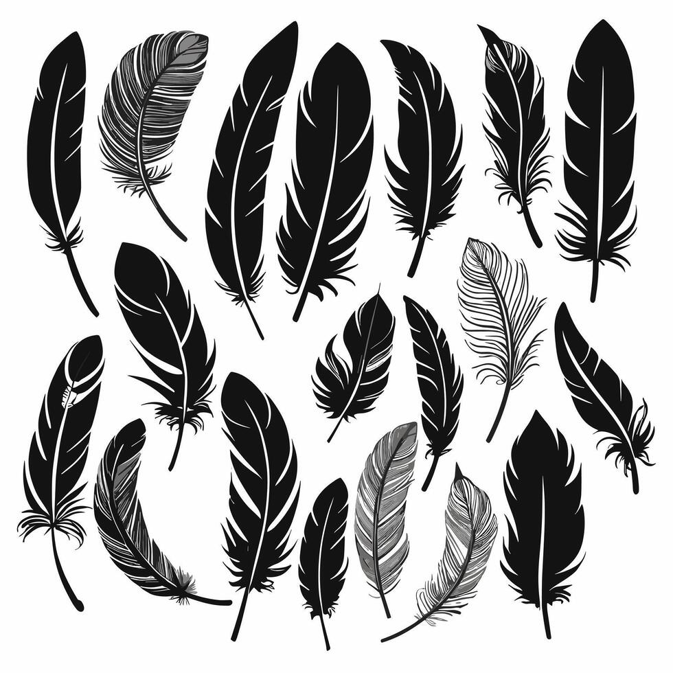 Feather silhouette illustration ink drawing vector art