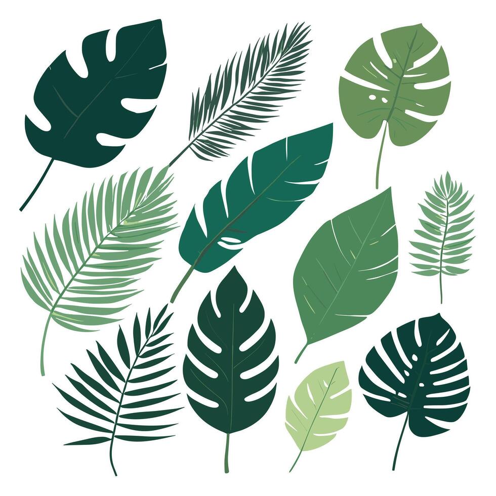 Exotic leaves set vector collection