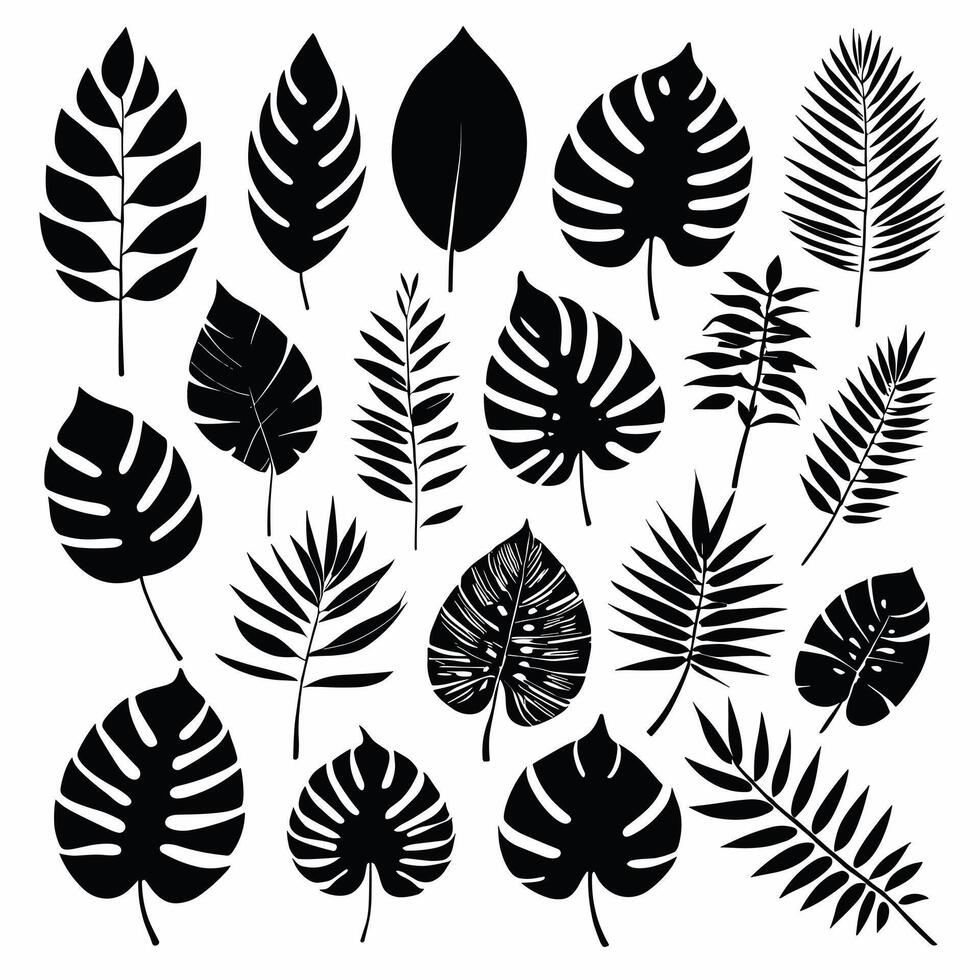 Exotic leaves silhouette set vector collection