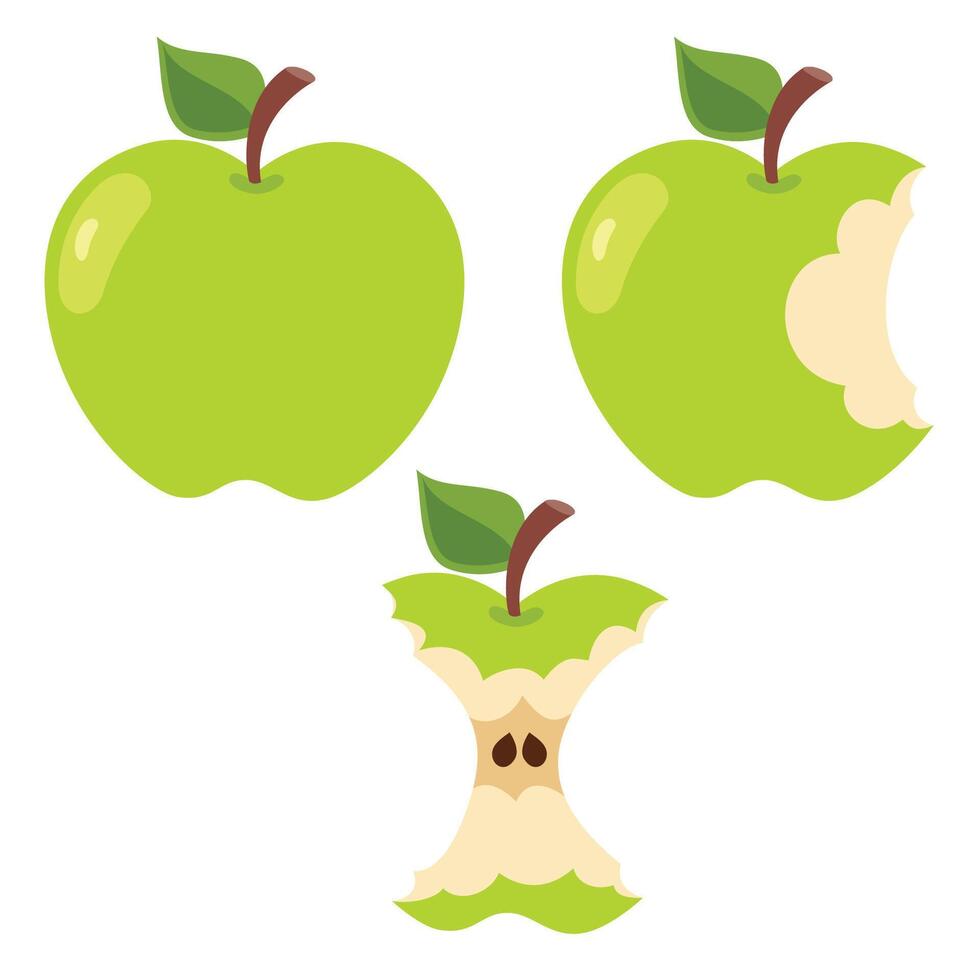 ilustración de varios manzana formas vector