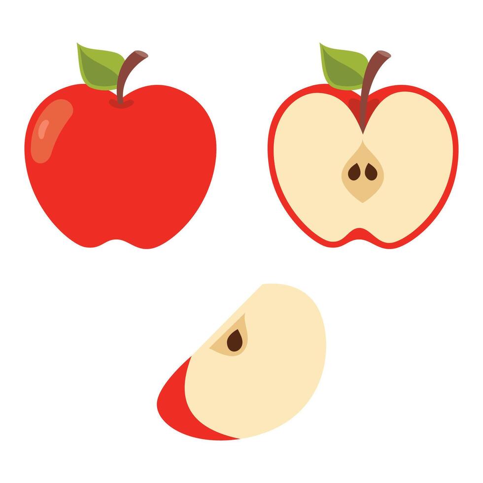 Illustration Of Various Apple Shapes vector