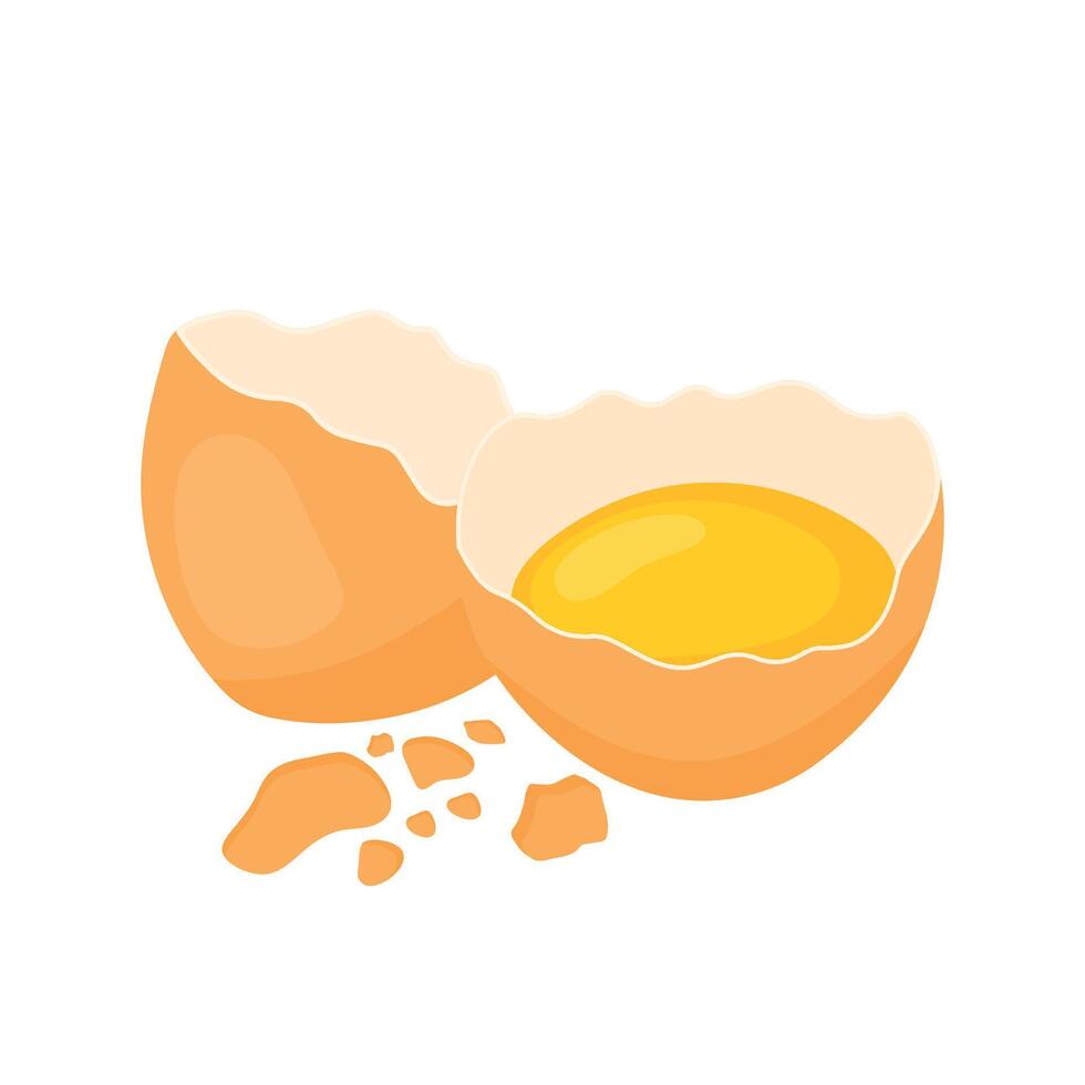 Raw egg with yolk in a cracked half peeled shell vector illustration