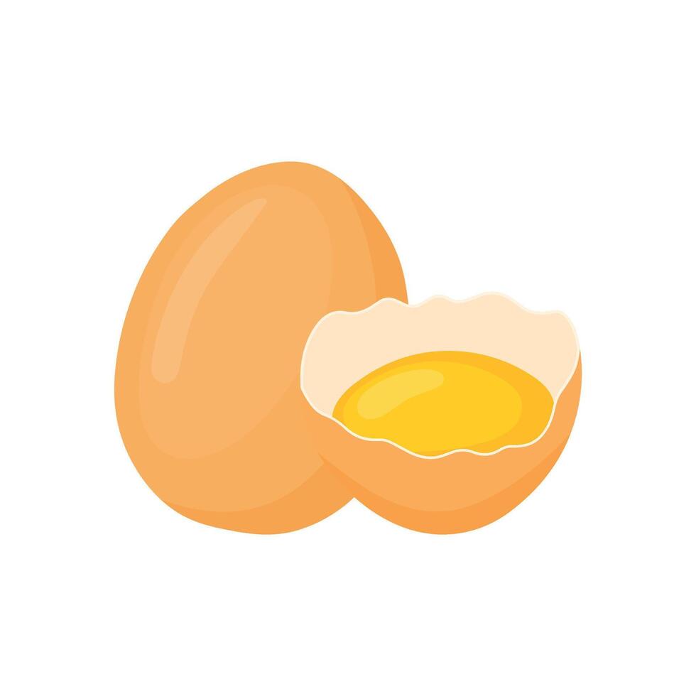 Raw egg with yolk in a cracked egg vector illustration