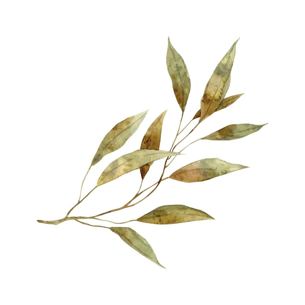 acuarela botánico rama de un verde planta con marchito hojas. aislado mano dibujado ilustración para tarjetas, pegatinas, textiles, diseño, invitaciones, sitio web, logo. vector