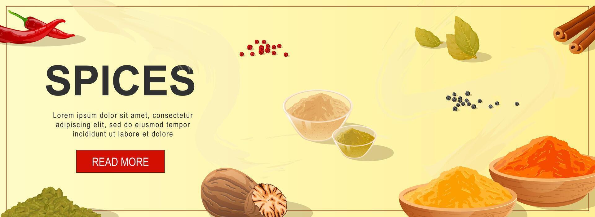 Spices horizontal web banner. Chili peppers, nutmeg, bay leaf, black or red peppercorns, cinnamon, other aroma ingredients. Vector illustration for header website, cover templates in modern design