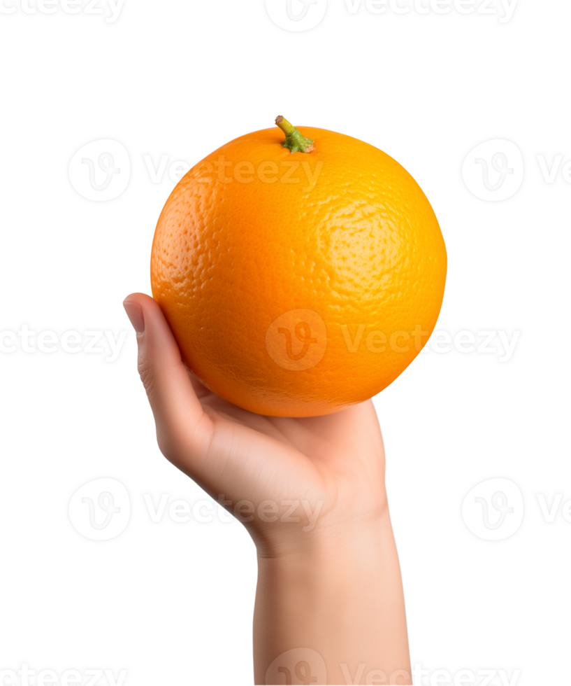 AI generated a hand-holding orange fruit isolated on a transparent background, PNG