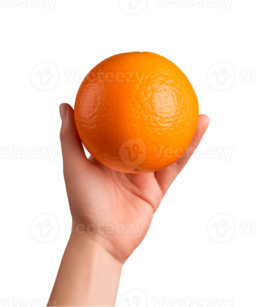 AI generated a hand-holding orange fruit isolated on a transparent background, PNG