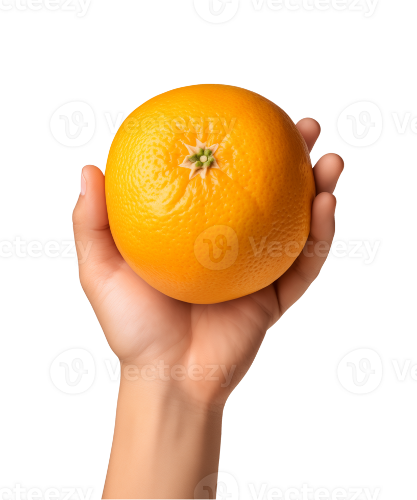 AI generated a hand-holding orange fruit isolated on a transparent background, PNG