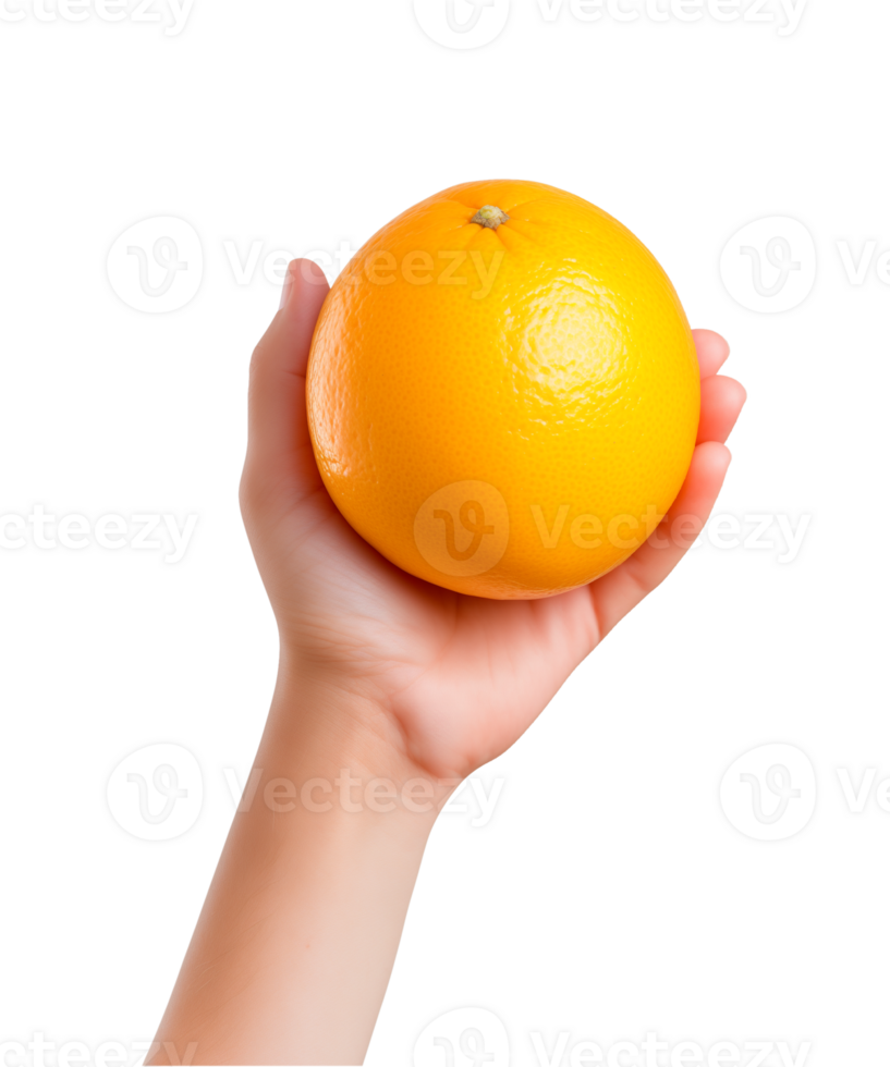 AI generated a hand-holding orange fruit isolated on a transparent background, PNG