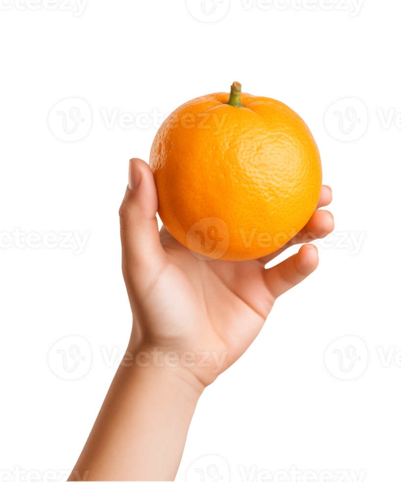 AI generated a hand-holding orange fruit isolated on a transparent background, PNG