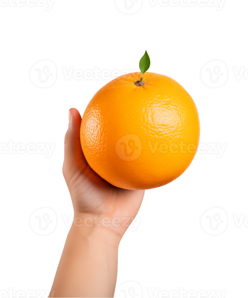 AI generated a hand-holding orange fruit isolated on a transparent background, PNG