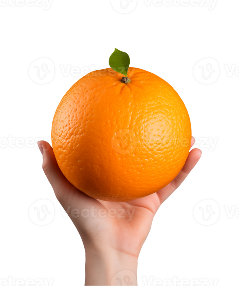AI generated a hand-holding orange fruit isolated on a transparent background, PNG