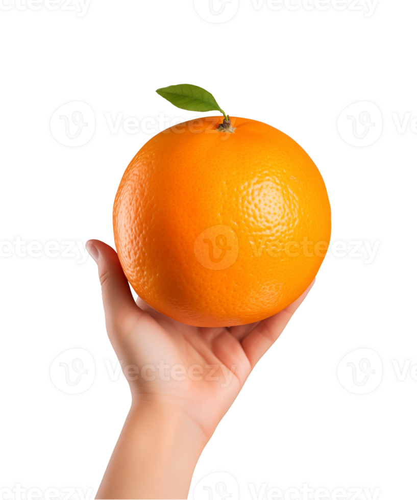 AI generated a hand-holding orange fruit isolated on a transparent background, PNG