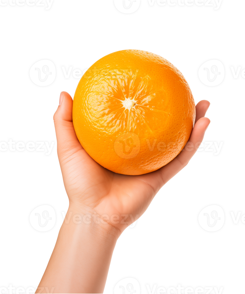 AI generated a hand-holding orange fruit isolated on a transparent background, PNG
